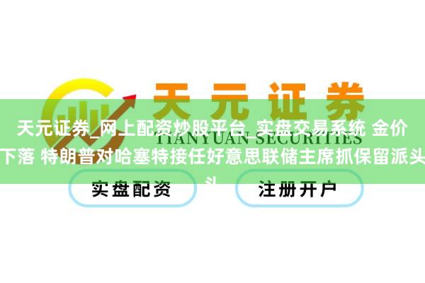 天元证券_网上配资炒股平台_实盘交易系统 金价下落 特朗普对哈塞特接任好意思联储主席抓保留派头