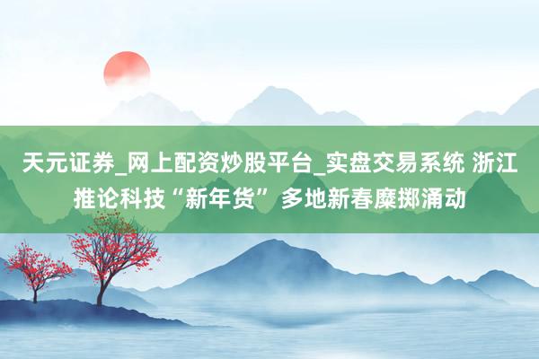 天元证券_网上配资炒股平台_实盘交易系统 浙江推论科技“新年货” 多地新春糜掷涌动