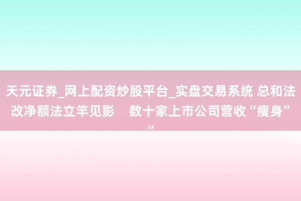 天元证券_网上配资炒股平台_实盘交易系统 总和法改净额法立竿见影    数十家上市公司营收“瘦身”