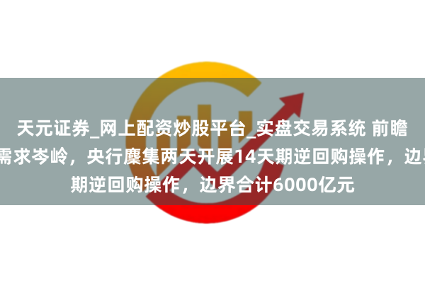 天元证券_网上配资炒股平台_实盘交易系统 前瞻性搪塞春节资金需求岑岭，央行麇集两天开展14天期逆回购操作，边界合计6000亿元