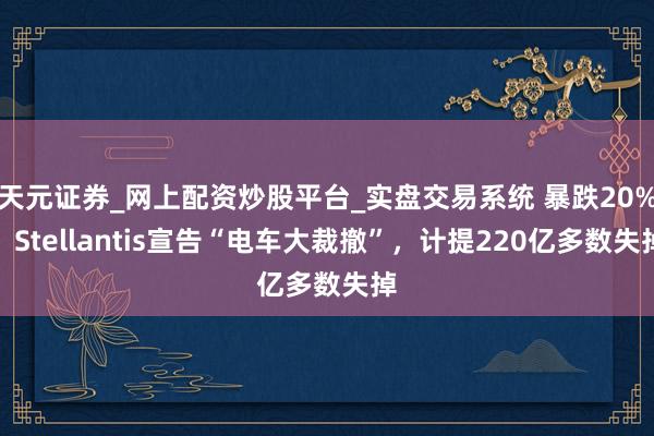 天元证券_网上配资炒股平台_实盘交易系统 暴跌20%！Stellantis宣告“电车大裁撤”，计提220亿多数失掉