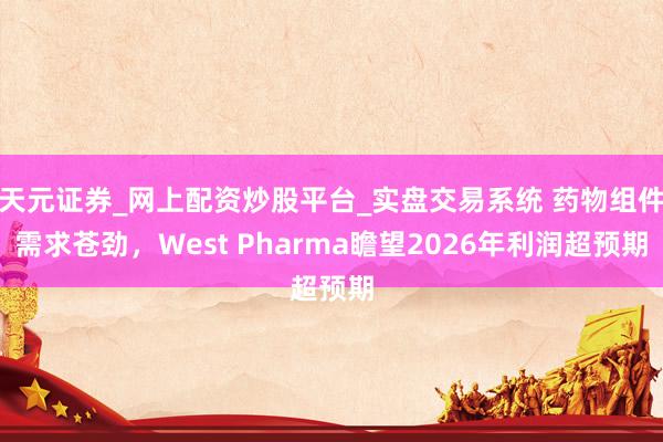 天元证券_网上配资炒股平台_实盘交易系统 药物组件需求苍劲，West Pharma瞻望2026年利润超预期
